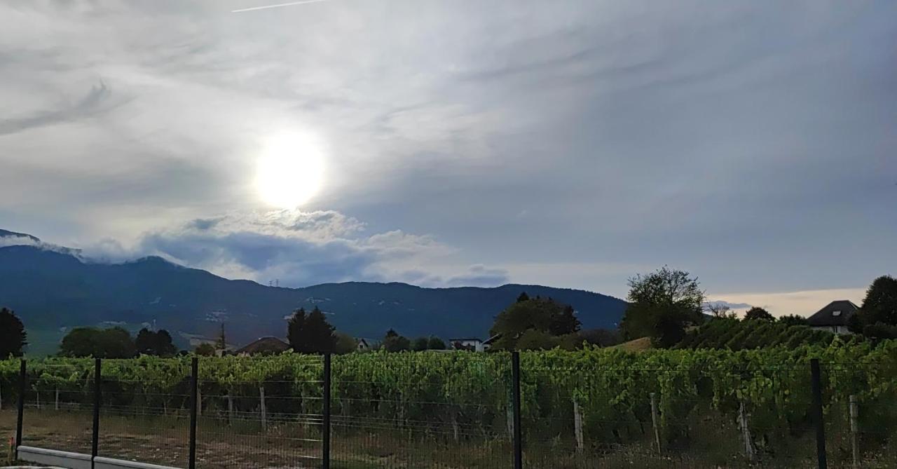 Chambre Au Coeur Des Vignes Myans Dış mekan fotoğraf